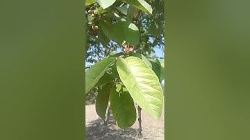 how to take pictures for shutterstock || shutterstock ke liye photo kaise banaye