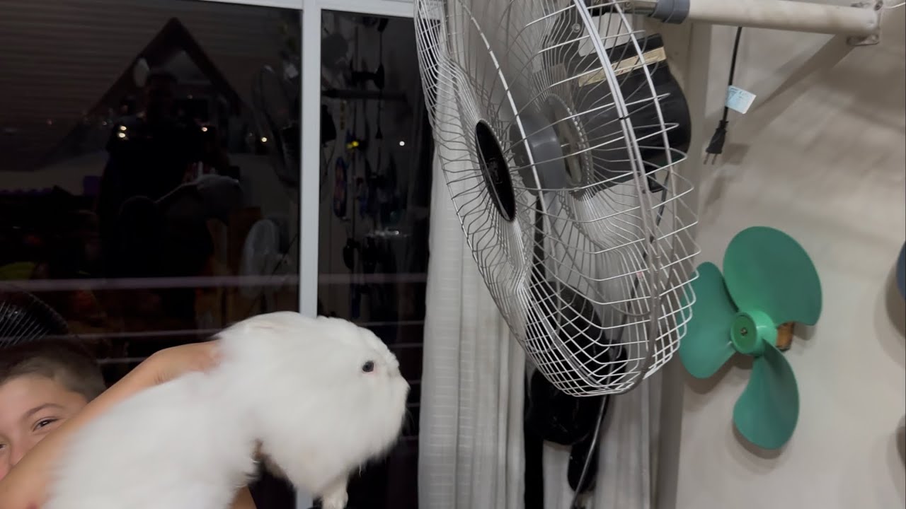 GARY adorou o nosso “NOVO” VENTILADOR DE PAREDE ARGE 