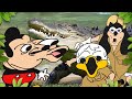 Mokey&#39;s show - 427 - Crocodile