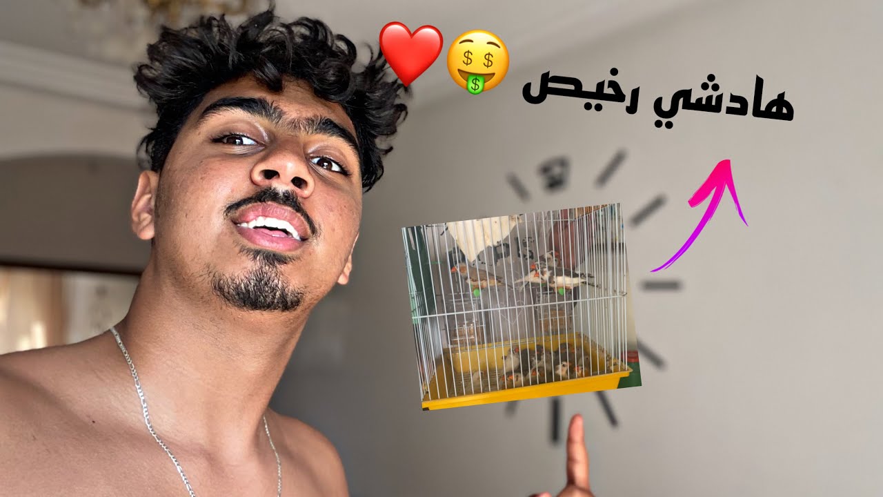 إشتريت أزيد من 30 طائر الزيبرا 🦜 بأقل تمن ممكن 🤑 + جوله في محميه لمولوع الزيبرا 😍