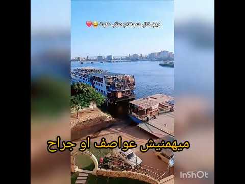 انا الصعيدى اغنيه باسم سوهاج انتظروها كامله واغنيه ب اسم الصعيد كامل اكسبلور حالات واتس