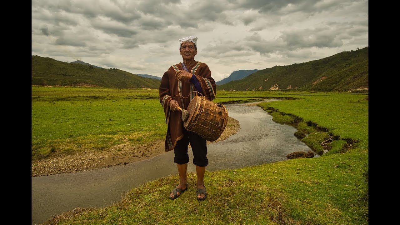 Visit Colcamar in the Peruvian Amazon Cloudforest