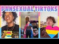 PANSEXUAL TikToks part 4