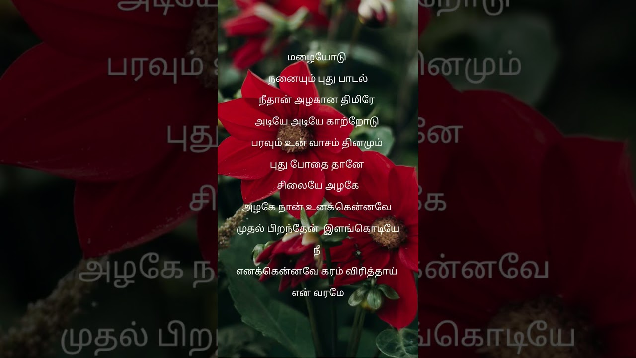 Mazhaiyodu Nanaiyum Puthu Paadal | Maragadha Naanayam | Romantic Tamil Melody