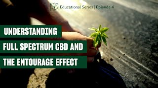 Celebrity Episode 4 | Full Spectrum CBD and the Entourage Effect | CBD 101 Wealth