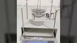 Balança Marte Com Kit Hidrostático Superior