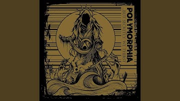 ... but Secretly We Thirst