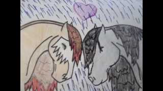 ♥Equine Couples of Deviantart ♥