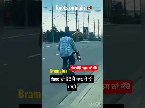 punjabi in brampton