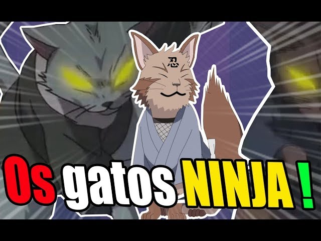 Cartoon Network Brasil - Agora eu quero ver: qual o nome ninja de vcs? Eu  começo: Gato Rebelde Doidão Ah, e lembrando que toda terça-feira, 17h45,  vocês podem conferir novos episódios de