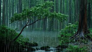 Soft Rain Pouring on Forest Lake for Deep Sleep | Rain Sound in Forest ASMR screenshot 4