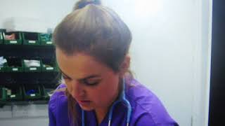 Tadallah The Hyrax Part 2