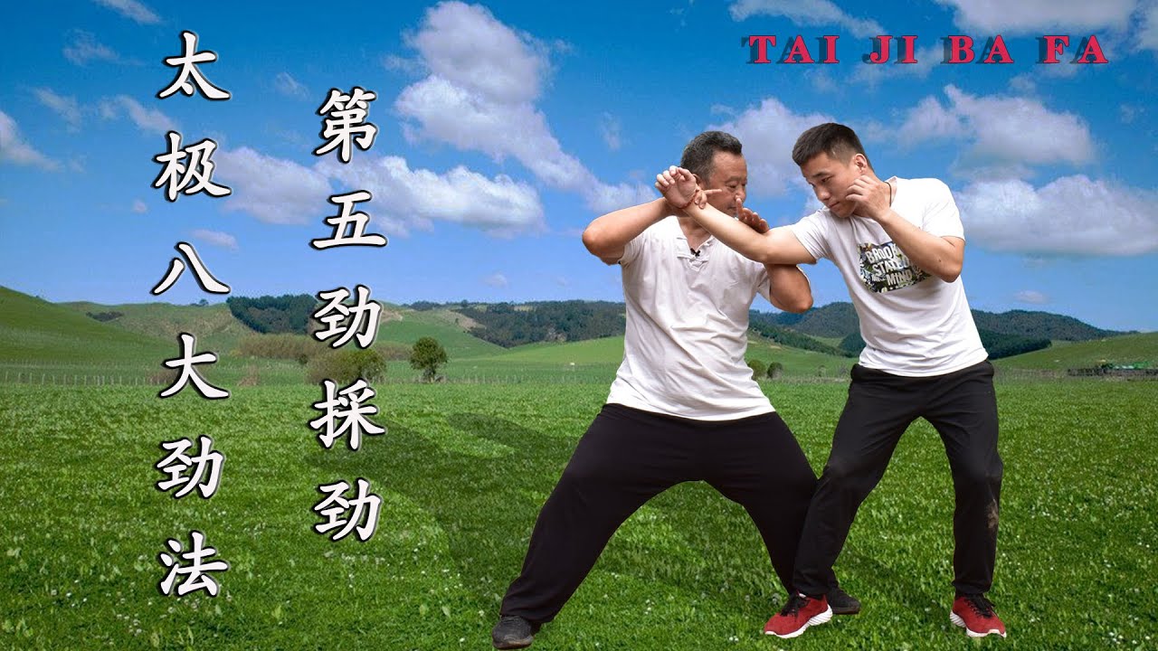 90%人都不懂,太极採劲如何用?看庞恒国师傅讲的科不科学(Tai Chi) - YouTube