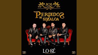 Video thumbnail of "Perdidos de Sinaloa - Daria Todo Por Ti"