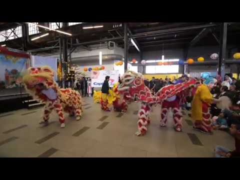Video Tet Boston - Lunar New Year 2019 #3 - Lion Dance and... - youtube