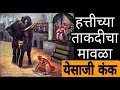 YESAJI KANK -The Great Warrior| Fight with Elephant| येसाजी कंक - हत्तीशी झुंज || ShivShambhu