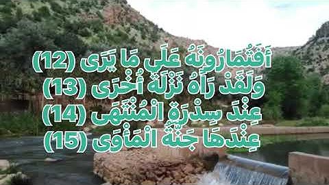القرآن الكريم سورة النجم وَالنَّجْمِ إِذَا هَوَى (1) مَا ضَلَّ صَاحِبُكُمْ وَمَا غَوَى (2) محمد صديق