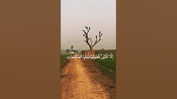سورة/ العصر بصوت جميل جدا