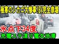 極寒のシカゴ大惨事! EV完全崩壊 氷点下34度 充電ステ凍り電欠渋滞