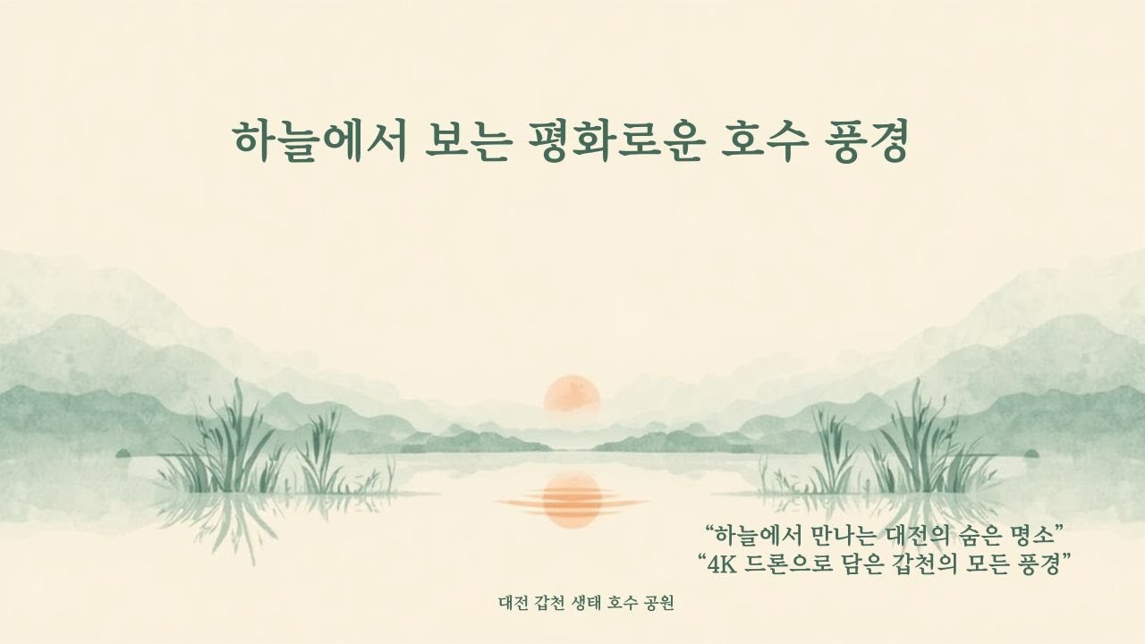 4K 드론 촬영｜대전 갑천 생태호수공원 하늘에서 본 풍경