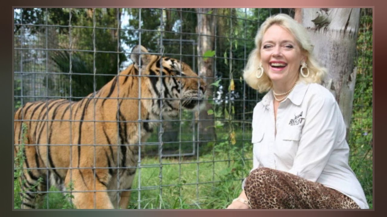 Disappearance Of Don Lewis