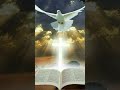 REPENT AND BE BAPTIZED                                       #Jesus #shorts