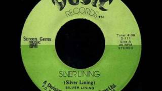 Celebrity Silver Lining - Silver Lining Profile