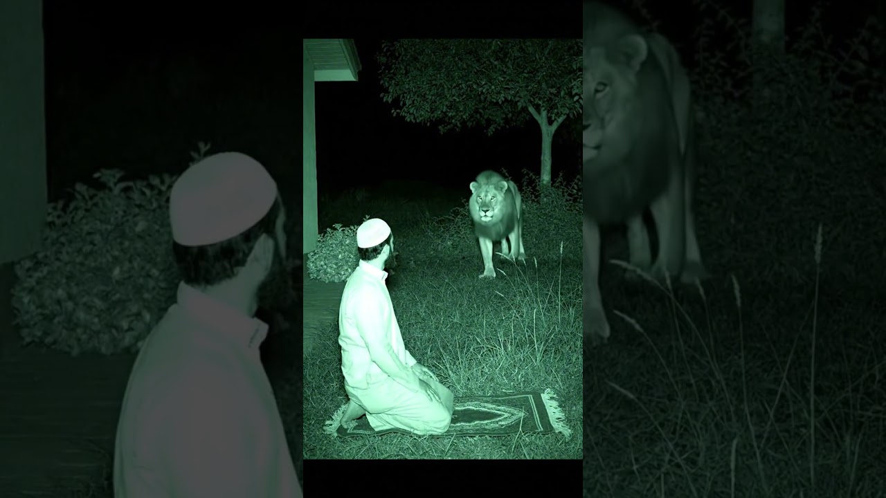 Даже звери боятся Аллаха2