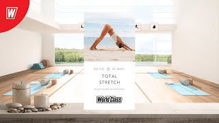 :        | 23  2024 | - World Class