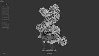 P4: ROOGOTFL : Differential Growth - Isometry