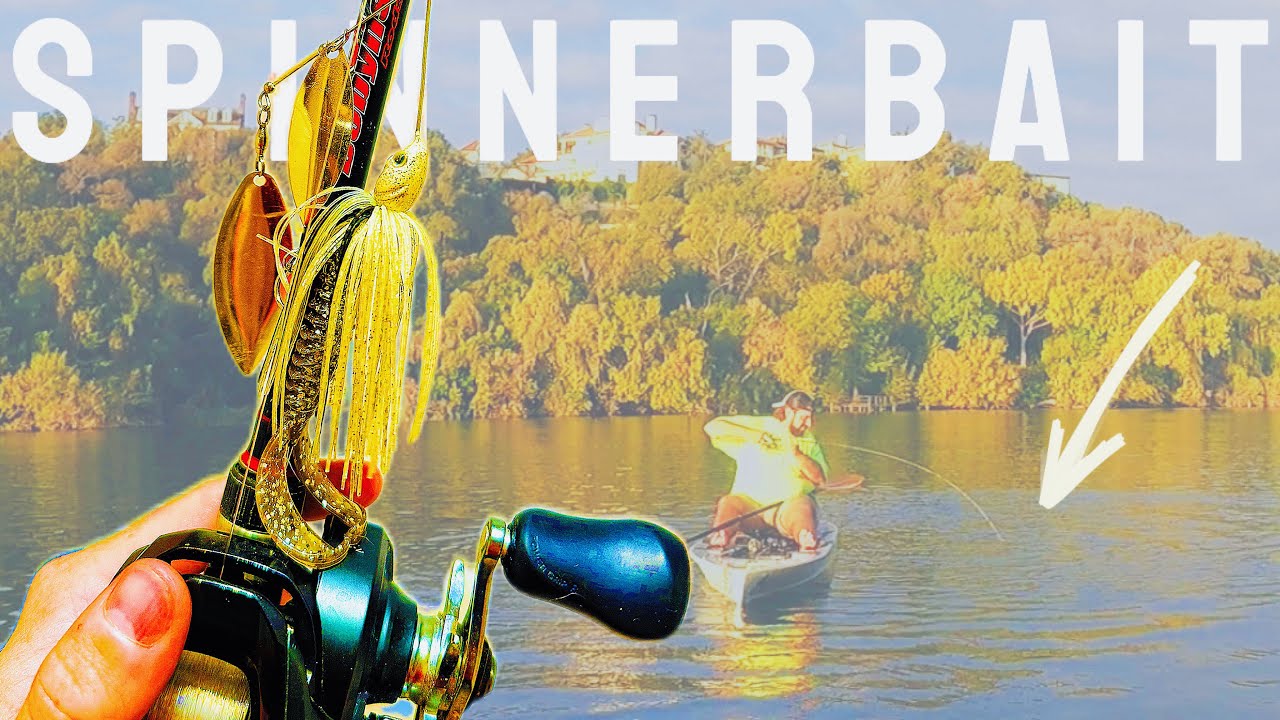THIS LURE Catches GIANT Bass – – Fall Bass Fishing Lady Bird Lake