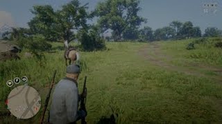 Red Dead Redemption 2  Horse Falls From Sky