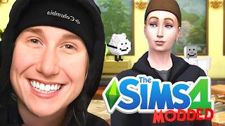 Ich habe Die Sims 4 gespielt, aber MIT MODS..