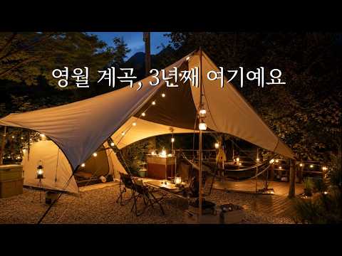 영월 계곡, 3년째 여기예요 ㅣ 여름 가족 캠핑 & 물놀이