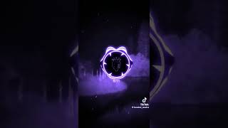 Song  Vandalism  Bleach phonk