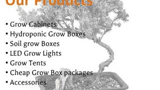 Grow Box for Sale Online