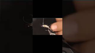 Scud pattern #fishing #flyfishinglife #flyfish #fly #trout