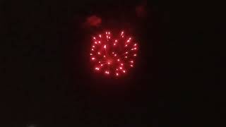 3β red strobe peony YT 4601