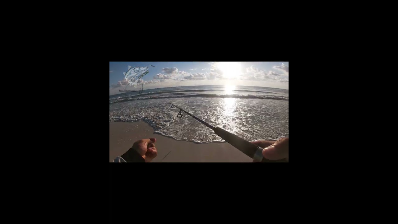 Pesca de robalo en las playas de playa del carmen