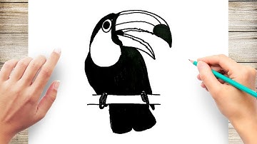 How to Draw Realistic Toucan