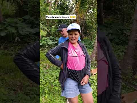 Manglamaw Ta Butong Kay Panalagsa Ra Makauli Ning Akong Mga Kuyog Farm SalveMalaya 