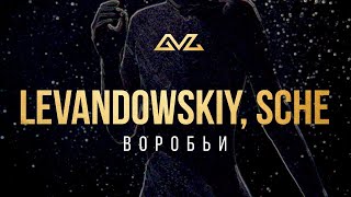 Levandowskiy, SCHE – Воробьи (Mood Video)