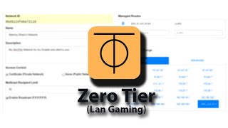Zerotier LAN Coop gaming (Tunngle Alternative,Peer to Peer Network ) 2020 multiplayer gaming