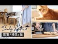 【主婦の1日/掃除・家事・猫】日々のルーティンと質問・リクエストへのお返事「年齢は？YouTubeはじめたきっかけは？部屋を綺麗に保つコツは？」