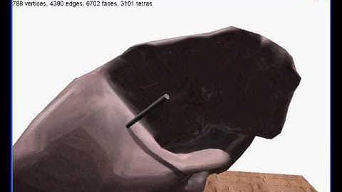 Soft tissue simulation with haptics
