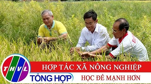 Nông nghiệp bền vững: Hợp tác xã nông nghiệp - Học để mạnh hơn