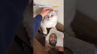 #cat #vlog #food #cute #pets #4u #duet #sing #dentalcare #cyprus