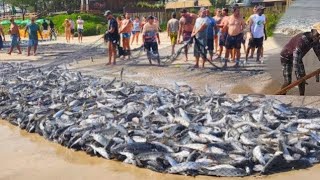 😱😮 Amazing!!  Fishing video - unbelievable seine net fishing video | you never seen that before.