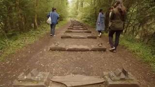 12 Most Strange And Incredible Finds In The Forest