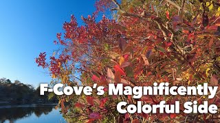 Exploring The 'Other Side' of F-Cove | Barnegat Bay | Jersey Shore | Brick NJ